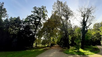 Arboretum