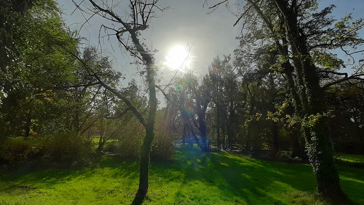 20201022_131552.jpg