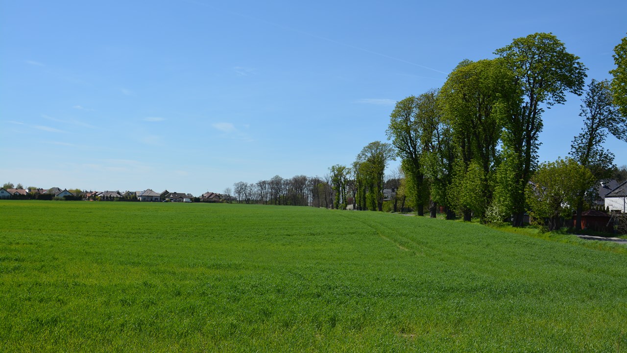 DSC_0030.JPG