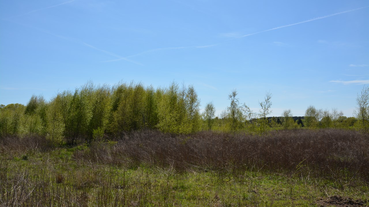 DSC_0088.JPG